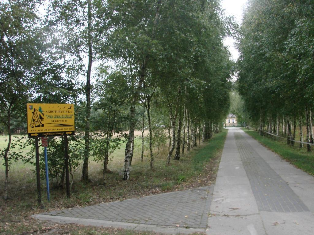 Agroturystyka Pod Modrzewiami Nowy Tomyśl Exterior foto